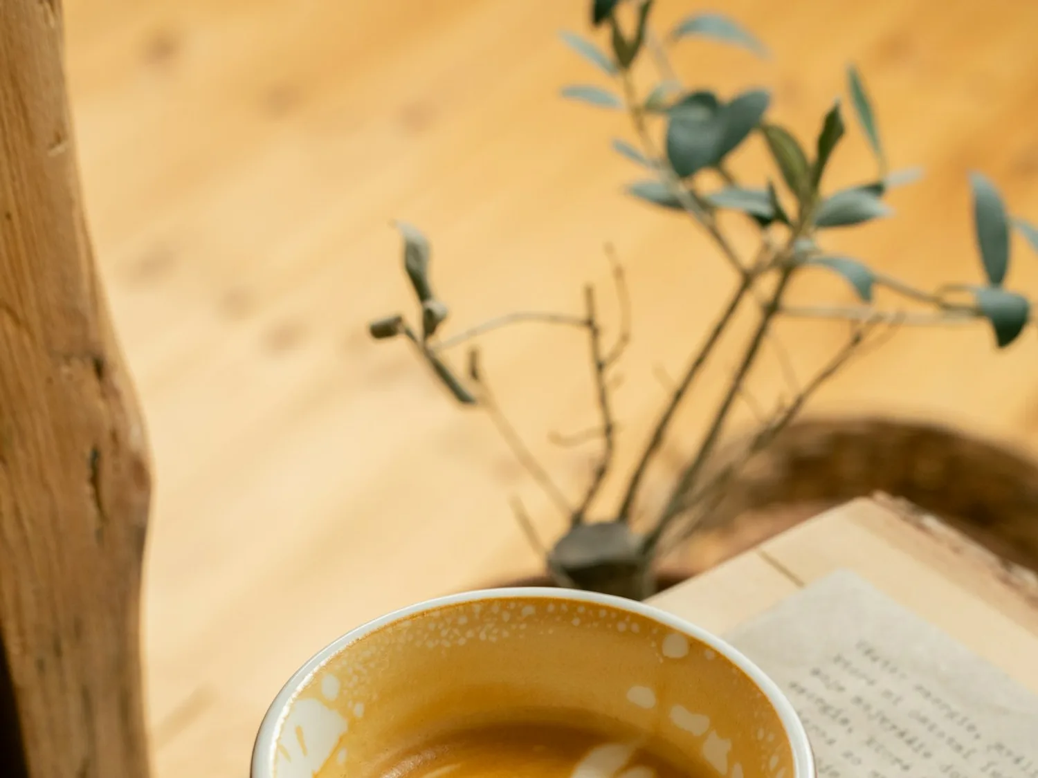 Best Coffee Beans for Homemade Lattes cover image